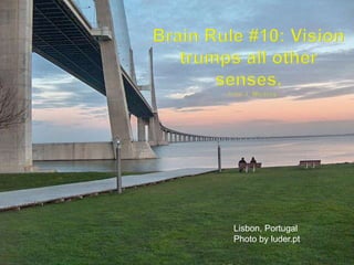 Brain Rule #10: Vision trumps all other senses.--John J. MedinaLisbon, PortugalPhoto by luder.pt