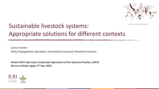 Better lives through livestock
Sustainable livestock systems:
Appropriate solutions for different contexts
Laura Cramer
Policy Engagement Specialist, International Livestock Research Institute
Protein PACT side event, Sustainable Agriculture of the Americas Pavilion, COP27
Sharm el Sheikh, Egypt, 9th Nov. 2022
 