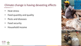 Sustainable livestock systems: Appropriate solutions for different contexts