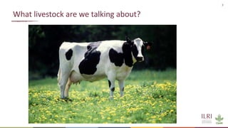 Sustainable livestock systems: Appropriate solutions for different contexts
