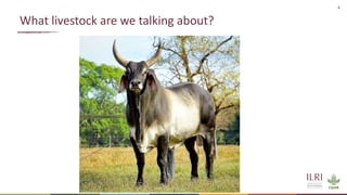 Sustainable livestock systems: Appropriate solutions for different contexts