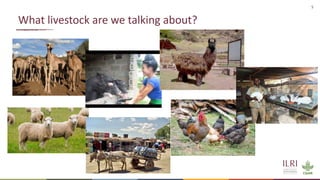 Sustainable livestock systems: Appropriate solutions for different contexts