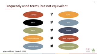 Sustainable livestock systems: Appropriate solutions for different contexts
