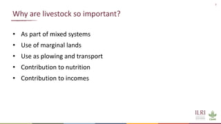 Sustainable livestock systems: Appropriate solutions for different contexts