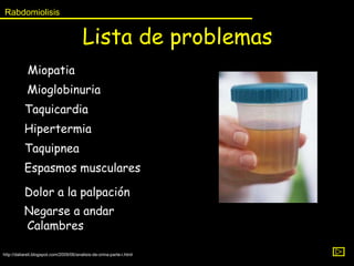 Lista de problemas Negarse a andar  Miopatia  Mioglobinuria  http://daliareli.blogspot.com/2009/06/analisis-de-orina-parte-i.html Rabdomiolisis Espasmos musculares Dolor a la palpación Calambres Hipertermia Taquicardia Taquipnea 