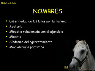 NOMBRES Enfermedad de los lunes por la mañana Azoturia Miopatia relacionada con el ejercicio Miositis Síndrome del agarrotamiento  Mioglobinuria paralítica Rabdomiolisis http://www.pixelphotoz.com/images/images/equine1.jpg 