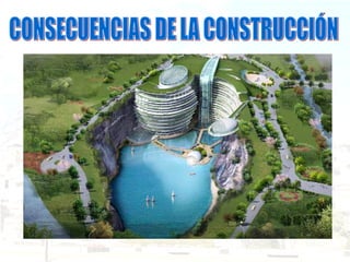 CONSECUENCIAS DE LA CONSTRUCCIÓN 