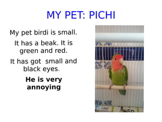 MY PET: PICHI
My pet birdi is small.
It has a beak. It is
green and red.
It has got small and
black eyes.
He is very
annoying
 