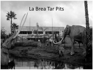 La Brea Tar Pits
