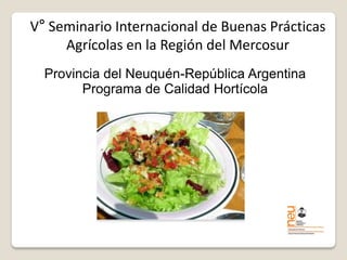V° Seminario Internacional de Buenas Prácticas Agrícolas en la Región del Mercosur 
Provincia del Neuquén-República Argentina 
Programa de Calidad Hortícola  