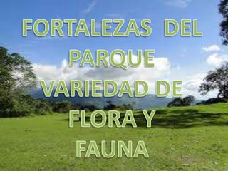 FORTALEZAS  DEL PARQUEVARIEDAD DE FLORA YFAUNA 