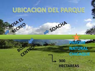 UBICACION DEL PARQUE BOSA EL RECREOSOACHAPARQUE NATURAL CHICAQUE BOSA CENTRO300 HECTAREAS 