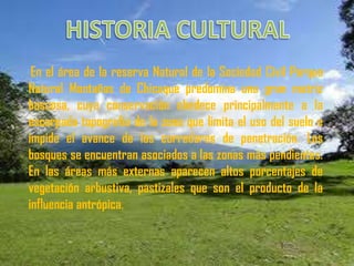 HISTORIA CULTURAL En el área de la reserva Natural de la Sociedad Civil Parque Natural Montañas de Chicaque predomina una gran matriz boscosa, cuya conservación obedece principalmente a la escarpada topografía de la zona que limita el uso del suelo e impide el avance de los corredores de penetración. Los bosques se encuentran asociados a las zonas más pendientes. En las áreas más externas aparecen altos porcentajes de vegetación arbustiva, pastizales que son el producto de la influencia antrópica.