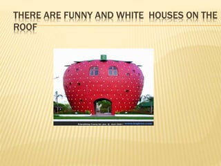 THERE ARE FUNNY AND WHITE HOUSES ON THE
ROOF
 