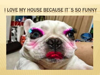 I LOVE MY HOUSE BECAUSE IT´S SO FUNNY
 