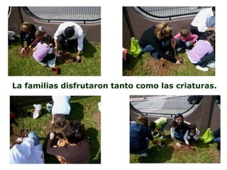 La familias disfrutaron tanto como las criaturas. 