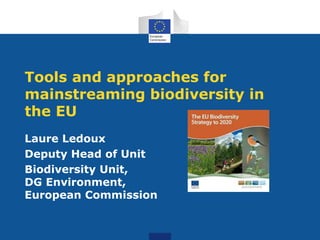 Tools and approaches for
mainstreaming biodiversity in
the EU
Laure Ledoux
Deputy Head of Unit
Biodiversity Unit,
DG Environment,
European Commission
 