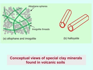 Laurence d. wesley characterisation and classification of tropical ...