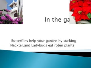 In the garden Butterflies help your garden by sucking  Neckter.and Ladybugs eat roten plants  