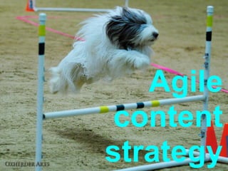 Agile
 content
strategy
 