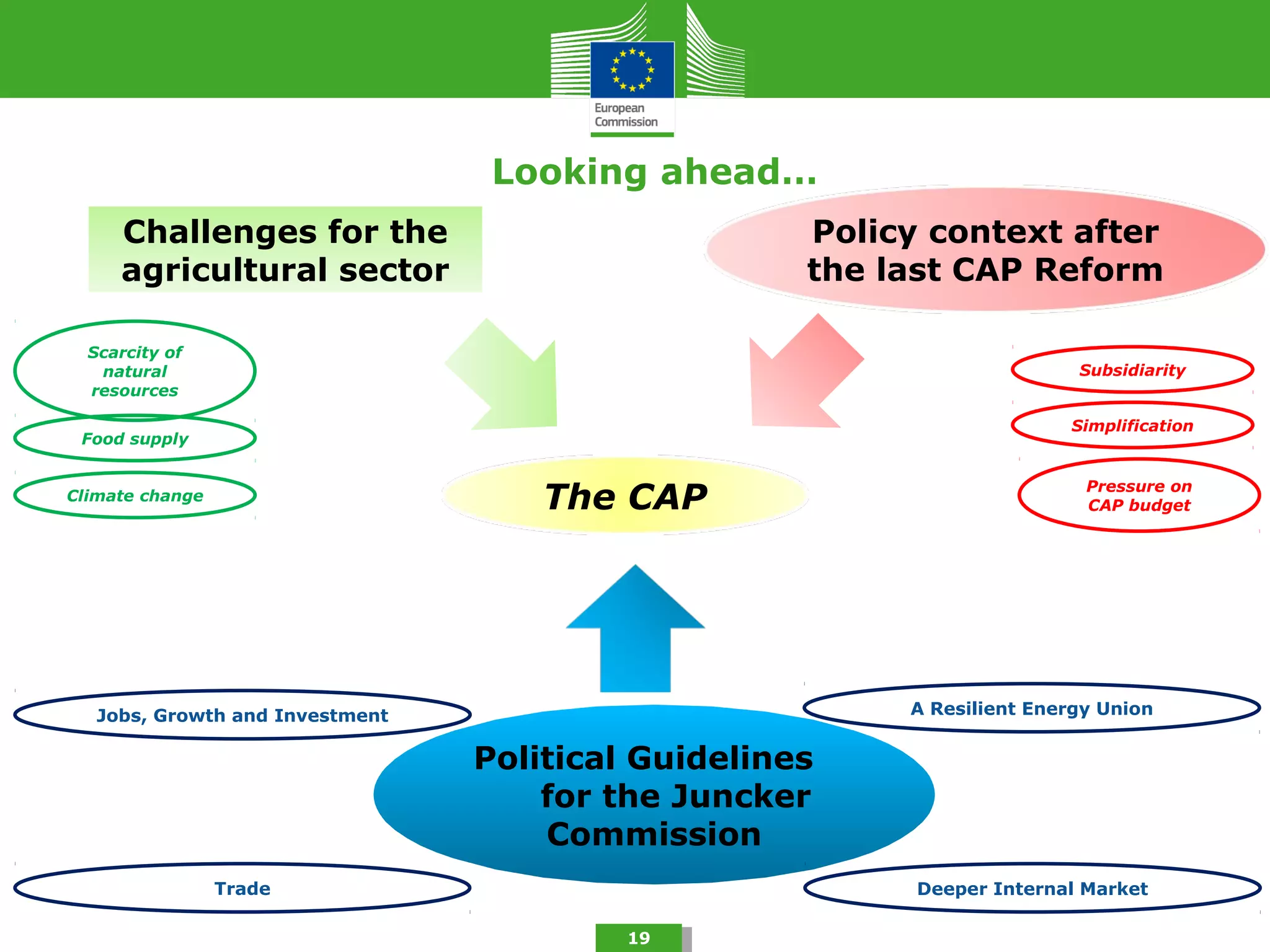 Looking ahead…
Challenges for the
agricultural sector
19
Policy context after
the last CAP Reform
Jobs, Growth and Investment
Political Guidelines
for the Juncker
Commission
A Resilient Energy Union
Trade Deeper Internal Market
Food supply
Scarcity of
natural
resources
Climate change
Subsidiarity
Simplification
Pressure on
CAP budgetThe CAP
 