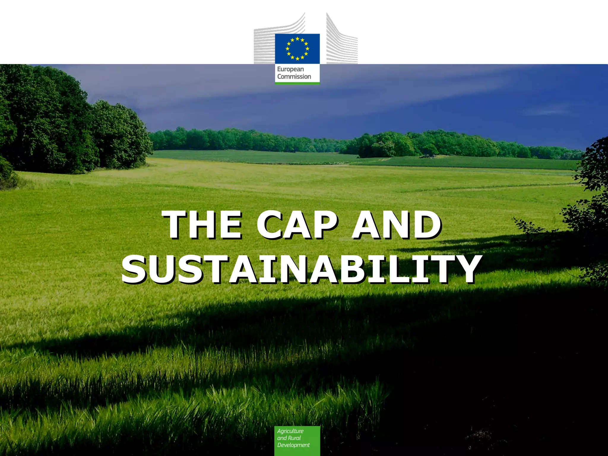 THE CAP ANDTHE CAP AND
SUSTAINABILITYSUSTAINABILITY
 