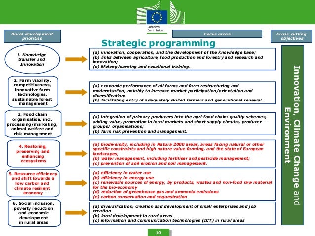 What is the purpose of a phd dissertation