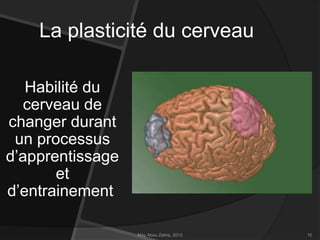 La plasticité du cerveau
Habilité du
cerveau de
changer durant
un processus
d’apprentissage
et
d’entrainement
May Abou Zahra, 2013

10

 