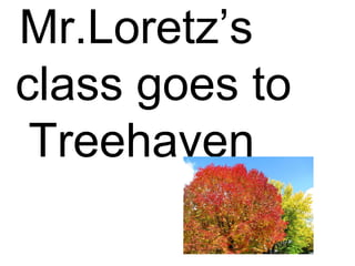Mr.Loretz’s class goes to  Treehaven 