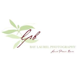 lpb
 BAY LAUREL PHOTOGRAPHY
          Laurie Pearce Bauer
 