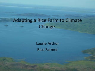 Adapting a Rice Farm to Climate Change.   Laurie Arthur Rice Farmer 