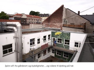 Spinn off: fra gårdsrom og byleiligheter….og videre til dyrking på tak
 