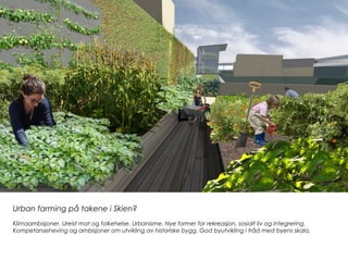 Urban farming på takene i Skien?
Klimaambisjoner. Ureist mat og folkehelse. Urbanisme. Nye former for rekreasjon, sosialt liv og integrering.
Kompetanseheving og ambisjoner om utvikling av historiske bygg. God byutvikling i tråd med byens skala.
 