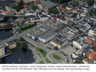 Urbant dyrking i murbyen….store takarealer, parker. Lokal matproduksjon. Nordmenn
handler mat for 140 milliarder i året; 99% gjennom fire skjeder. (dyr og elendig utvalg).
 