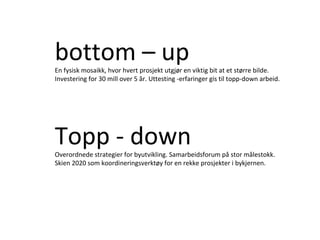 bottom – upEn fysisk mosaikk, hvor hvert prosjekt utgjør en viktig bit at et større bilde.
Investering for 30 mill over 5 år. Uttesting -erfaringer gis til topp-down arbeid.
Topp - downOverordnede strategier for byutvikling. Samarbeidsforum på stor målestokk.
Skien 2020 som koordineringsverktøy for en rekke prosjekter i bykjernen.
 