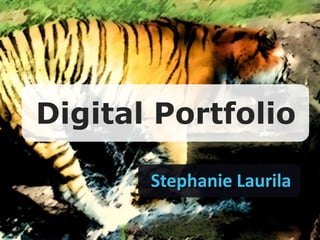 Digital Portfolio

       Stephanie Laurila
 