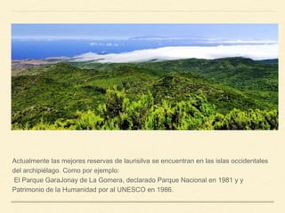 Actualmente las mejores reservas de laurisilva se encuentran en las islas occidentales
del archipiélago. Como por ejemplo:
El Parque GaraJonay de La Gomera, declarado Parque Nacional en 1981 y y
Patrimonio de la Humanidad por al UNESCO en 1986.
 