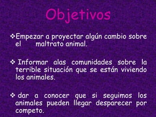 Objetivos
Empezar a proyectar algún cambio sobre
 el   maltrato animal.

 Informar alas comunidades sobre la
 terrible situación que se están viviendo
 los animales.

 dar a conocer que si seguimos los
 animales pueden llegar desparecer por
 competo.
 