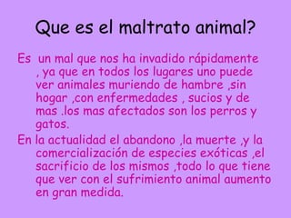 Que es el maltrato animal?
Es un mal que nos ha invadido rápidamente
   , ya que en todos los lugares uno puede
   ver animales muriendo de hambre ,sin
   hogar ,con enfermedades , sucios y de
   mas .los mas afectados son los perros y
   gatos.
En la actualidad el abandono ,la muerte ,y la
   comercialización de especies exóticas ,el
   sacrificio de los mismos ,todo lo que tiene
   que ver con el sufrimiento animal aumento
   en gran medida.
 