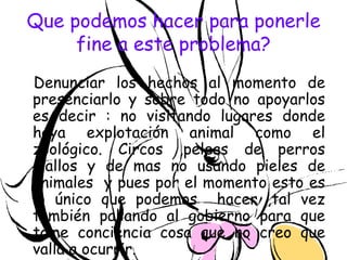 Que podemos hacer para ponerle
     fine a este problema?
Denunciar los hechos al momento de
presenciarlo y sobre todo no apoyarlos
es decir : no visitando lugares donde
haya explotación animal como el
zoológico. Circos ,peleas de perros
,gallos y de mas no usando pieles de
animales y pues por el momento esto es
lo único que podemos hacer ,tal vez
también paliando al gobierno para que
tome conciencia cosa que no creo que
valla a ocurrir.
 