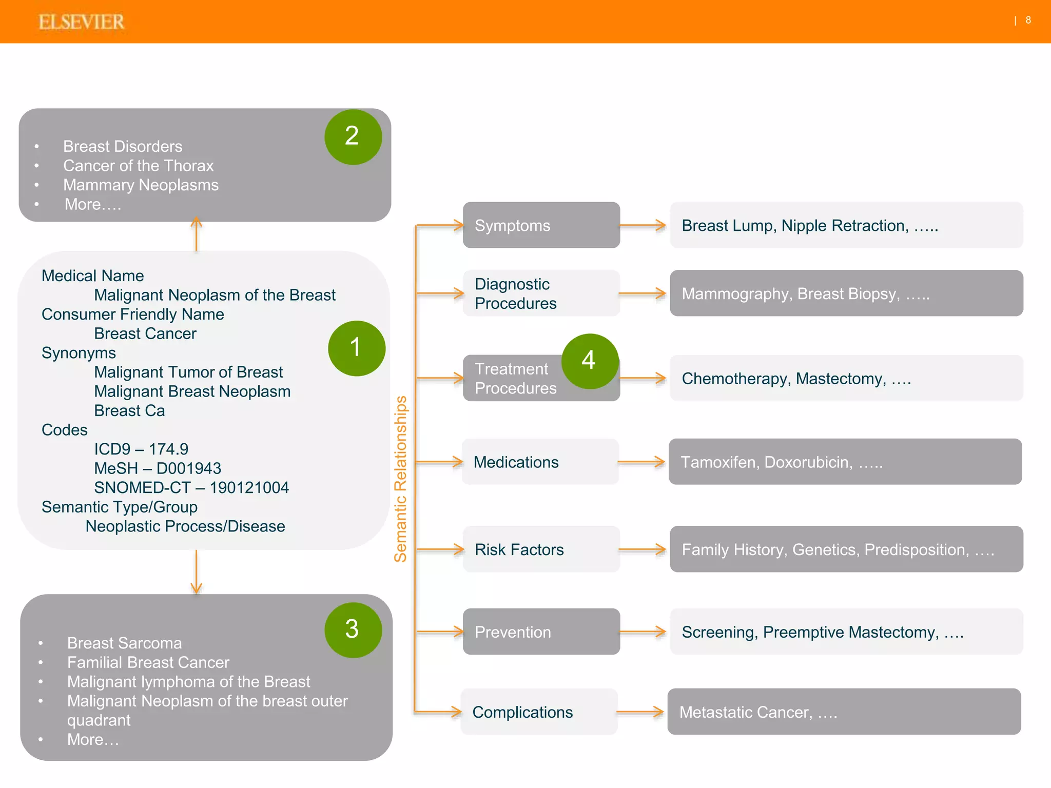 | 8 
• Breast Disorders 
• Cancer of the Thorax 
• Mammary Neoplasms 
• More…. 
Medical Name 
Malignant Neoplasm of the Breast 
Consumer Friendly Name 
Breast Cancer 
Synonyms 
Malignant Tumor of Breast 
Malignant Breast Neoplasm 
Breast Ca 
Codes 
ICD9 – 174.9 
MeSH – D001943 
SNOMED-CT – 190121004 
Semantic Type/Group 
Neoplastic Process/Disease 
• Breast Sarcoma 
• Familial Breast Cancer 
• Malignant lymphoma of the Breast 
• Malignant Neoplasm of the breast outer 
quadrant 
• More… 
Symptoms 
Diagnostic 
Procedures 
Treatment 
Procedures 
Medications 
Risk Factors 
Prevention 
Complications 
Breast Lump, Nipple Retraction, ….. 
Mammography, Breast Biopsy, ….. 
Chemotherapy, Mastectomy, …. 
Tamoxifen, Doxorubicin, ….. 
Family History, Genetics, Predisposition, …. 
Screening, Preemptive Mastectomy, …. 
Metastatic Cancer, …. 
Semantic Relationships 
4 
2 
1 
3 
 