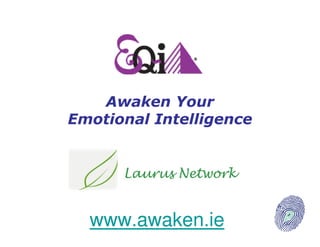 Awaken Your
Emotional Intelligence




  www.awaken.ie
 
