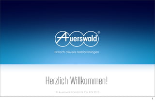 Herzlich Willkommen!
© Auerswald GmbH & Co. KG 2013
1
 