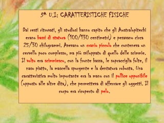5^ U.I: CARATTERISTICHE FISICHE
Dai resti ritrovati, gli studiosi hanno capito che gli Australopitechi
erano bassi di statura (100/130 centimetri) e pesavano circa
25/30 chilogrammi. Avevano un cranio piccolo che conteneva un
cervello poco complesso, ma più sviluppato di quello delle scimmie.
Il volto era scimmiesco, con la fronte bassa, le sopracciglia folte, il
naso piatto, la mascella sporgente e la dentatura robusta. Una
caratteristica molto importante era la mano con il pollice opponibile
(opposto alle altre dita), che permetteva di afferrare gli oggetti. Il
corpo era ricoperto di pelo.
 