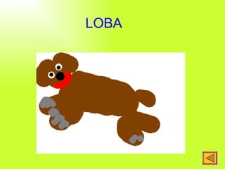 LOBA   