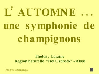 Photos :  Loraine Région naturelle  “Het Osbroek” - Alost Progrès automatique L’ AUTOMNE ... une symphonie de champignons 