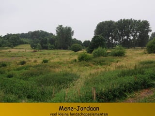Mene-Jordaan
veel kleine landschapselementen
 