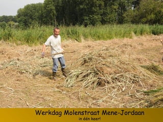 Werkdag Molenstraat Mene-Jordaan
in één keer!
 