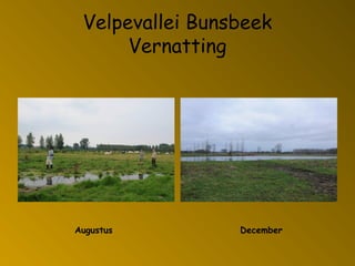 Velpevallei Bunsbeek
Vernatting
Augustus December
 