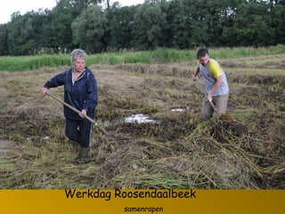 Werkdag Roosendaalbeek
samenrapen
 